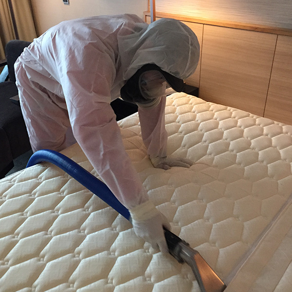 Disinfection Service | Mattress Cleaning