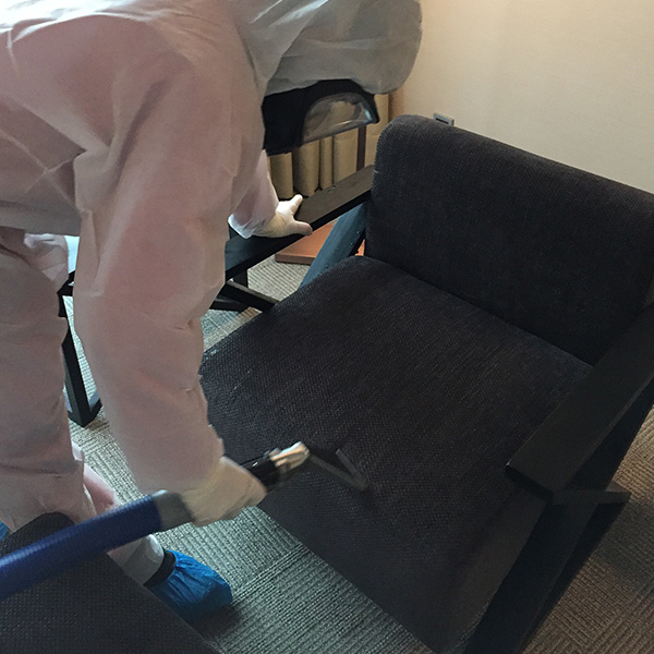 Disinfection Service | Upholstery Cleaning