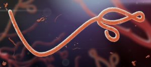 Ebola: Guidelines for Environmental Controls and Hygiene Practices In Singapore