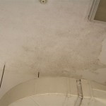 Wall and Ceiling Bio-Decontamination and AEGIS Treatment